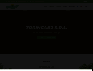 torincab2.com screenshot