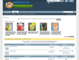 torrentindir.org screenshot