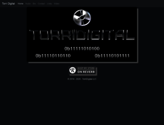 torridigital.com screenshot