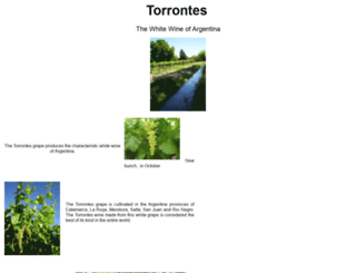torrontes.com screenshot