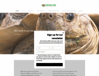 tortoise.com screenshot