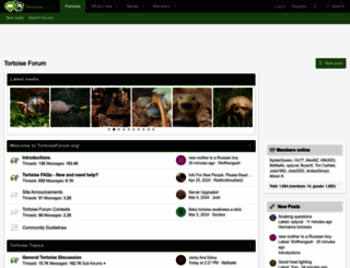 tortoiseforum.org screenshot