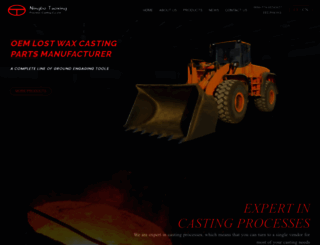 tosing-casting.com screenshot