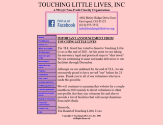 touchinglittlelives.org screenshot