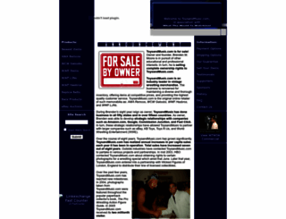 toysandmusic.com screenshot