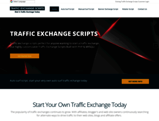 traffic-exchange-scripts.com screenshot