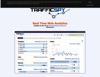 trafficspy.net screenshot