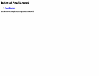 trafikcezasisorgulama.com screenshot