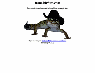 trans.birdim.com screenshot