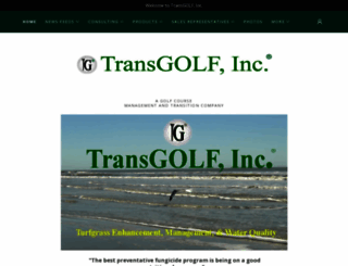 transgolf-inc.com screenshot