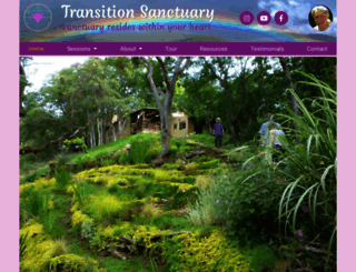 transition.org screenshot