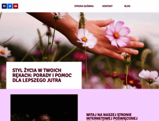 transmech.pl screenshot