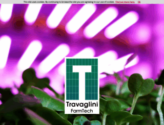 travaglinifarmtech.com screenshot