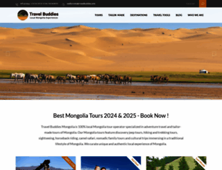 travelbuddies.info screenshot
