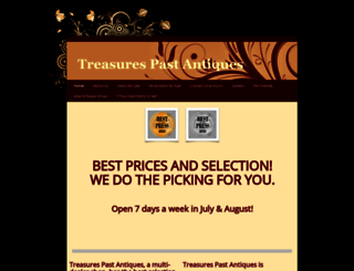 treasurespast.com screenshot