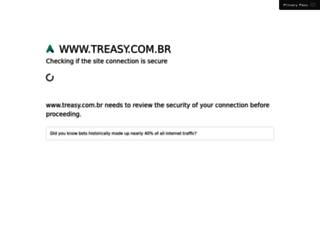 treasy.com.br screenshot
