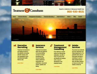 treatmentconsultants.com screenshot