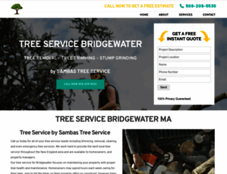 treeservicebridgewater.com screenshot