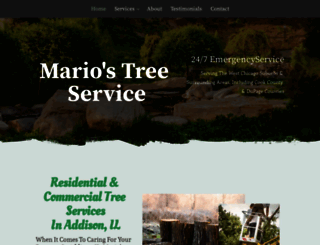 treeservicecompanyaddison.com screenshot