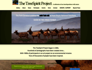 treespiritproject.com screenshot