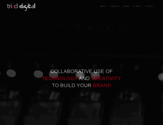 triaddigi.com screenshot