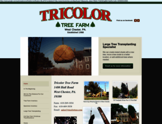 tricolortree.com screenshot