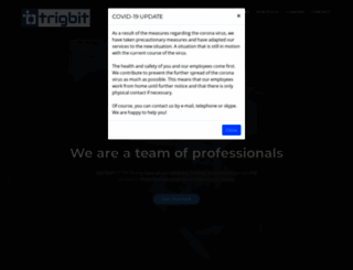 trigbit.com screenshot
