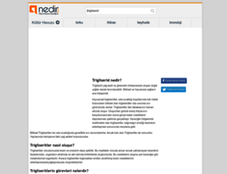 trigliserid.nedir.com screenshot