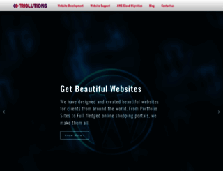 triolutions.com screenshot