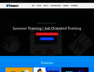 trisectinstitute.com screenshot
