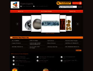 triveniexport.com screenshot