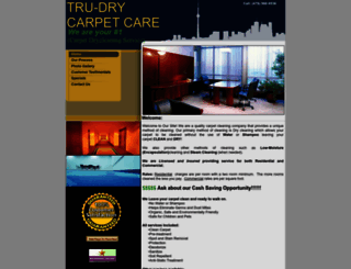 trudrycarpetcare.com screenshot