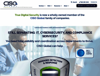 truedigitalsecurity.com screenshot