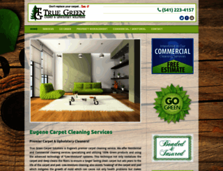 truegreencarpetsolutions.com screenshot