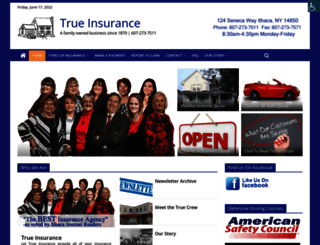 trueinsurance.com screenshot