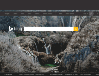 ts2.mm.bing.net screenshot