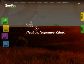 tsarevodom.ru screenshot