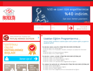 tseakademi.com screenshot