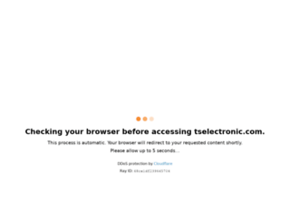 tselectronic.com screenshot