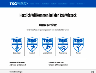 tsg-wieseck.de screenshot