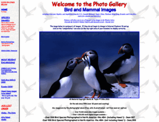 tsuru-bird.net screenshot