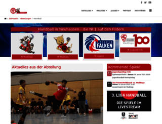 tsvneuhausen-handball.de screenshot