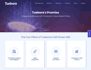 tuebora.com screenshot