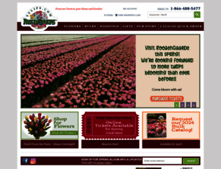tulips.com screenshot
