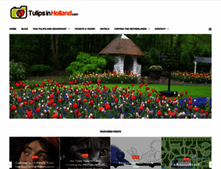 tulipsinholland.com screenshot