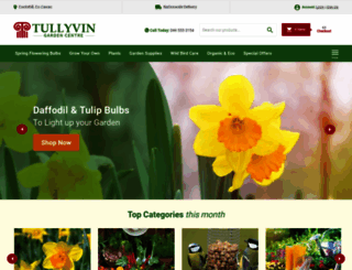 tullyvin.ie screenshot