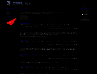 tunel.biz screenshot