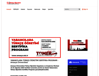 turkceogretimi.com screenshot
