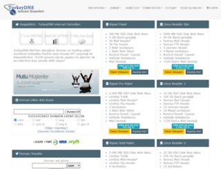 turkeydns.net screenshot