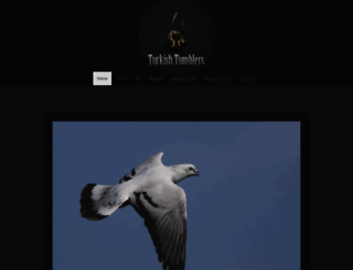 turkishtumblers.com screenshot